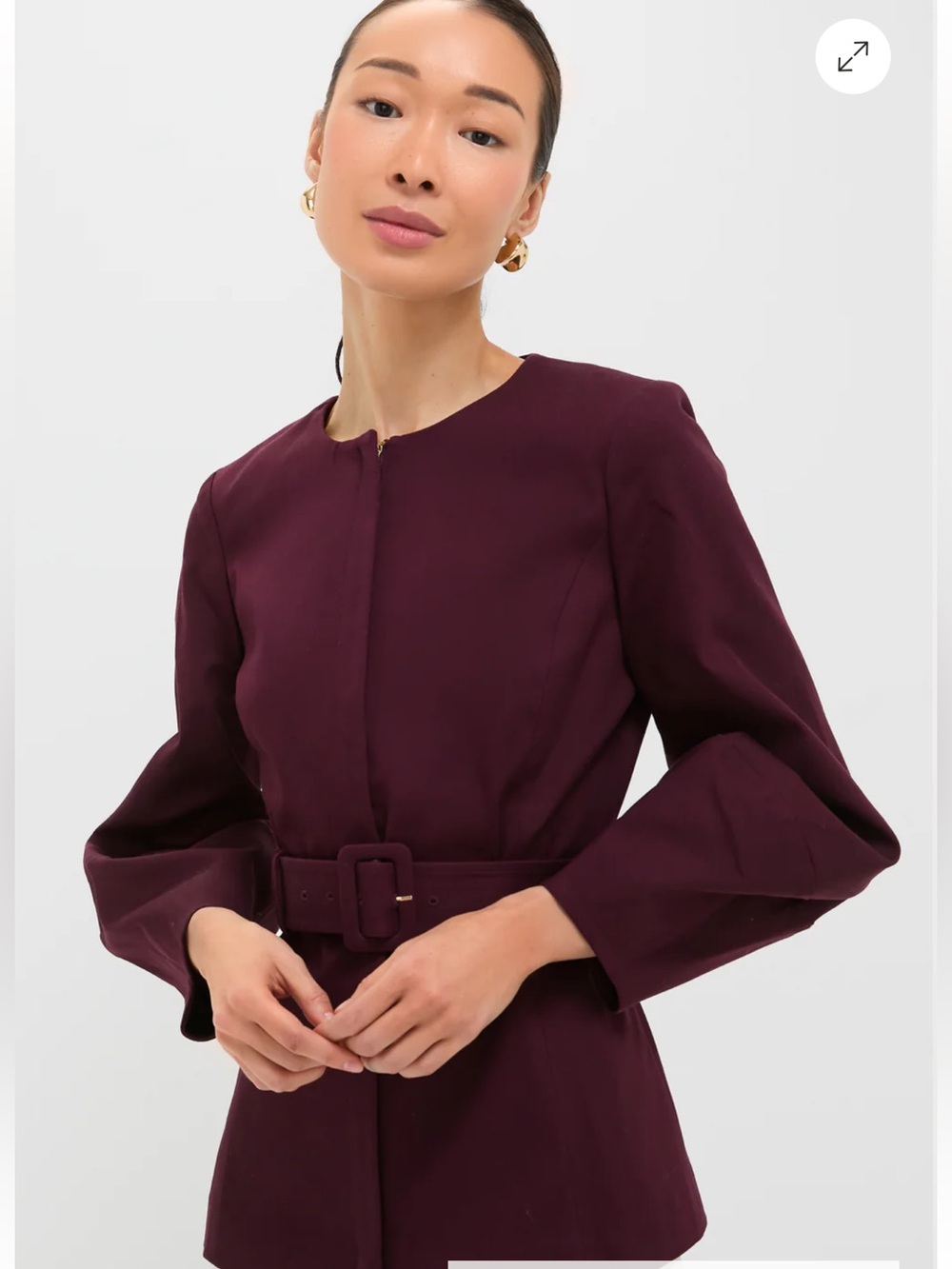 Tuckernuck Oxblood long sleeve Structured Rhoda Tunic Top Plum Belted size 4